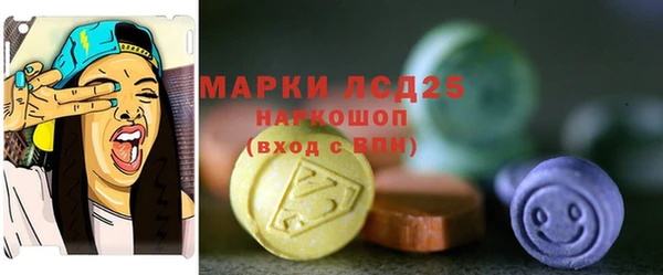 стаф Арсеньев