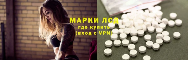 стаф Арсеньев