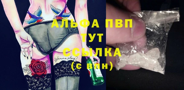 стаф Арсеньев