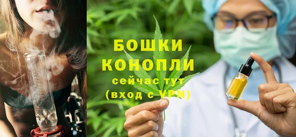стаф Арсеньев