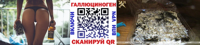 Купить закладки  Северо-Курильск  Галлюциногенные грибы GOLDEN TEACHER 